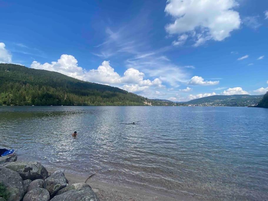 Holiday home Maison Chaleureuse Avec Cheminee Bord De Riviere Gerardmer